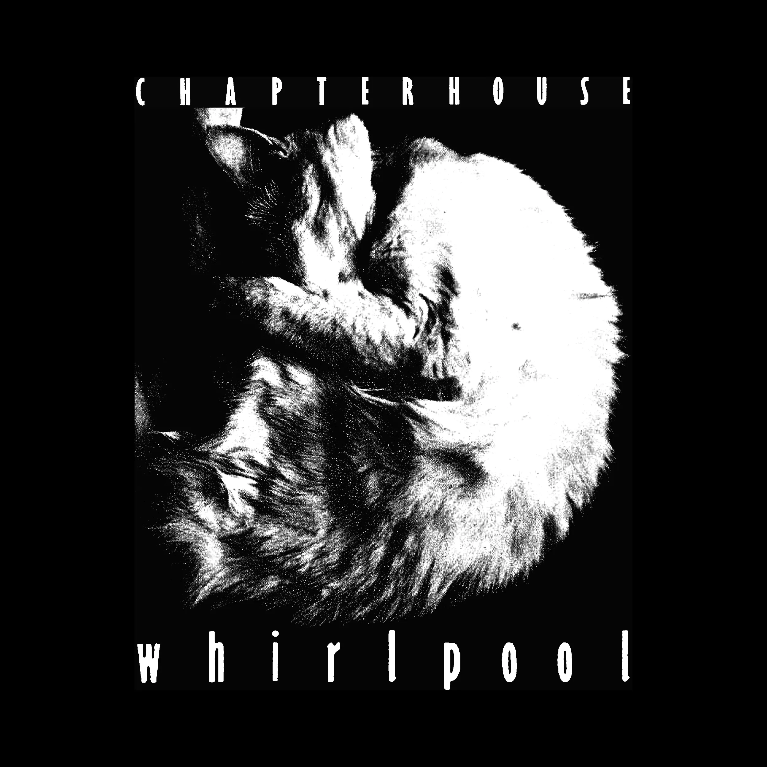 Chapterhouse Whirlpool Classic Tee