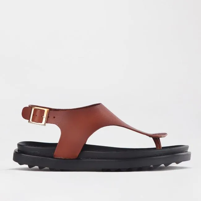 Women's Thong Flat Sandal in Chestnut - 12692